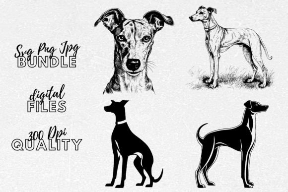 Whippet SVG - Whippet Dog Clipart